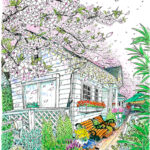 桜の頃。久しぶりにカナルカフェのデッキに下りてみる。風が吹いて花びらを空高く巻き上げ、空一面が桜色になった。なつかしさで胸がいっぱいになる。また桜の頃ここに来られるだろうか。 CANAL CAFE
