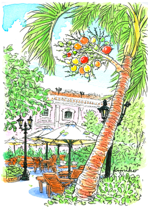 ベトナム・フエのホテルの中庭で見つけた、カラフルな実をつけた椰子の木。プラスティックのようにぴかぴかしている。庭の手入れをしている人が名前を教えてくれたが、どうにも聞き取れない。