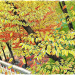 新宿三井ビル前のケヤキが色づいた。葉っぱ　葉っぱ　ひたすら葉っぱを描く。どこまでも黄色い葉の重なり。風が吹くたび、逆光の中をぱらぱらと落ちてくる。２週間後、葉が落ちて、すっかり冬の樹になっていました。