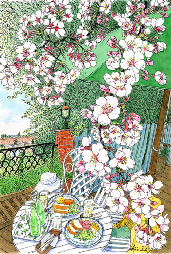 春の風に誘われイングリッシュガーデンへ。アンディ＆ウィリアムズ・ボタニック・ガーデン。 満開のチューリップの片隅に若い桜が一本。ひょろひょろして頼りない枝振りが面白い。あたりはすっかり葉桜の頃。