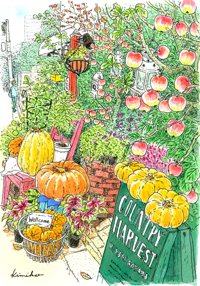 秋の陽射し。南青山の小さな花屋さん「カントリーハーベスト」。小さなリンゴの実が生っている。黄色やオレンジ色のかぼちゃにハロウィンが近いことを知る。COUNTRY HARVEST