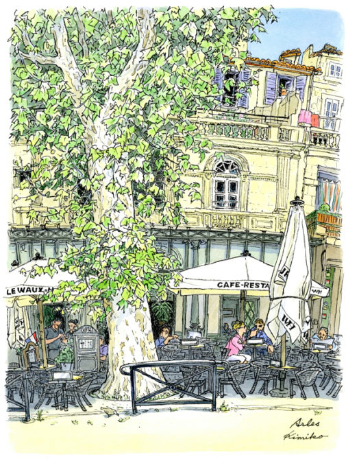 アルルでよく見かける大きなプラタナスの街路樹とカフェ。特別な名所ではないけれど何度か通るうちに描きたくなりました。